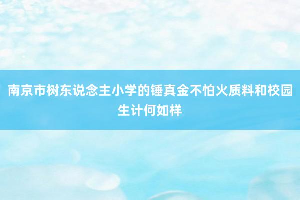 南京市树东说念主小学的锤真金不怕火质料和校园生计何如样