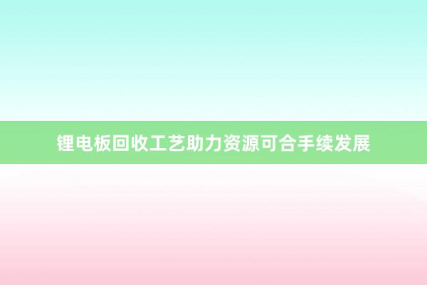 锂电板回收工艺助力资源可合手续发展